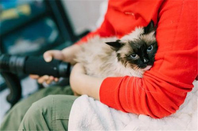 开一家宠物用品店需要多少启动资金？