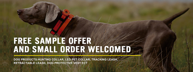 2017宠物户外用品潮流指南 打造爱宠的快乐探险时光