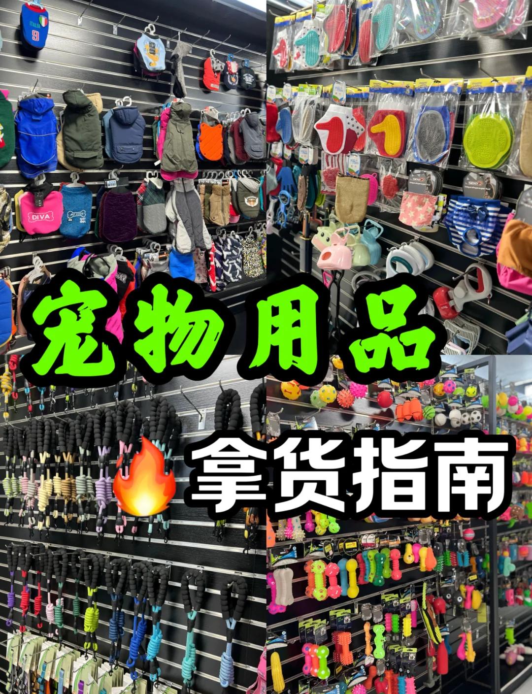 义乌宠物用品批发市场全攻略 新手入门必读指南