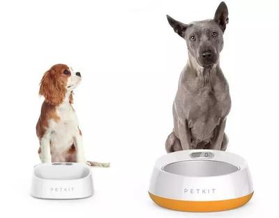 小佩宠物获亿元融资，聚焦“品类+海外+线下”打造宠物生活新生态