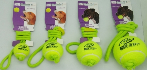 宠物玩具新风尚 源自德国的戏宠Pawsfly，如何重新定义互动乐趣