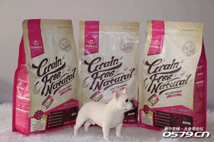 宠物家族 打造爱宠幸福生活的全方位指南