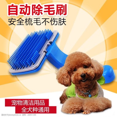 宠物用品选购指南 打造爱宠的健康与幸福生活